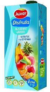 nectar disfruta 10 frutas+10vi juver 2 l