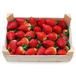 fresas caja 1kg