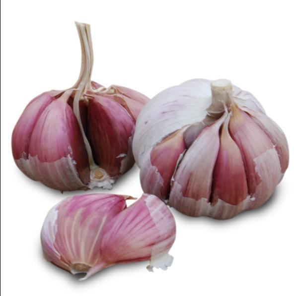 ajo seco morado bolsa ¼k gourmet ajo seco morado bolsa ¼k gourmet