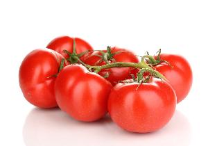 tomate rama extra