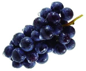 uva negra sin semillas bandeja 500 gr uva negra sin semillas bandeja 500 gr