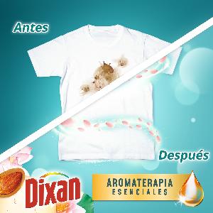 detergente loto&pachuli dixan 30dosis